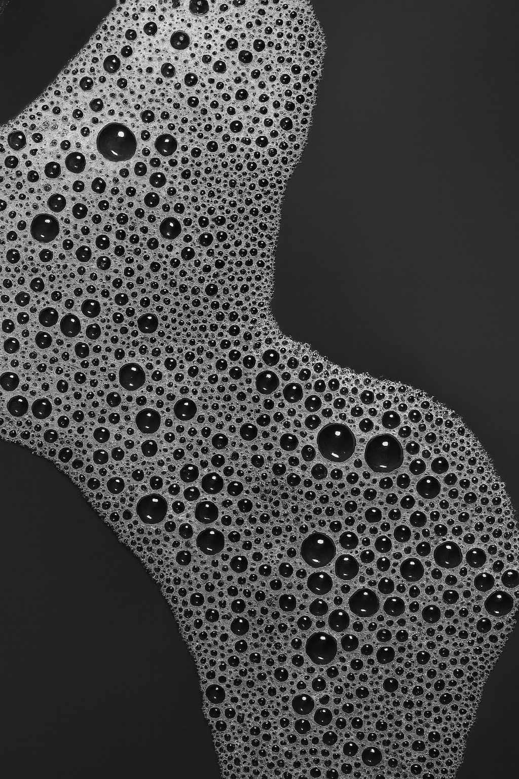 Baron Bear – Anti - Spot for Men - Baron Bear TRIBE