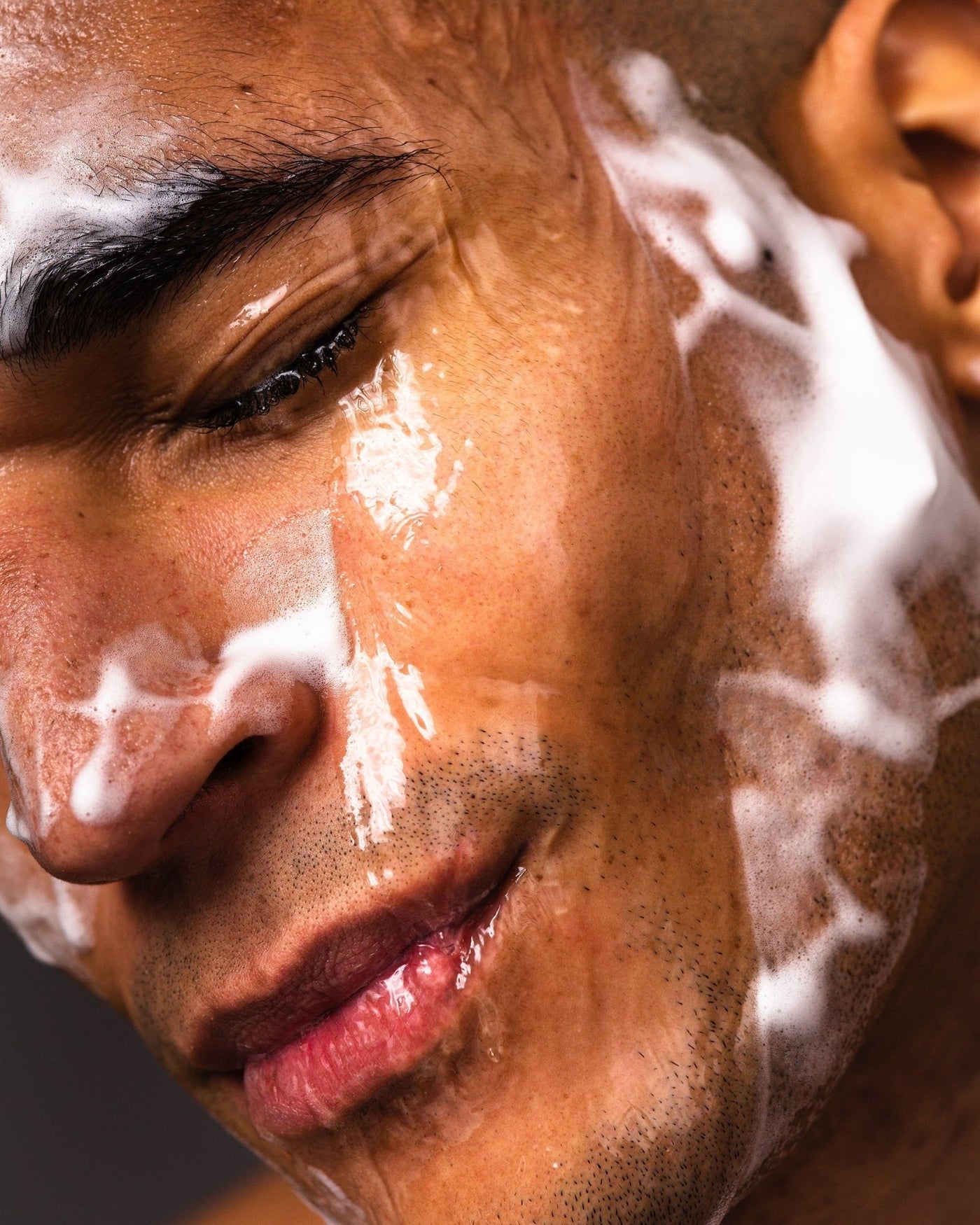 Baron Bear – Face Fighter - Baron Bear TRIBE