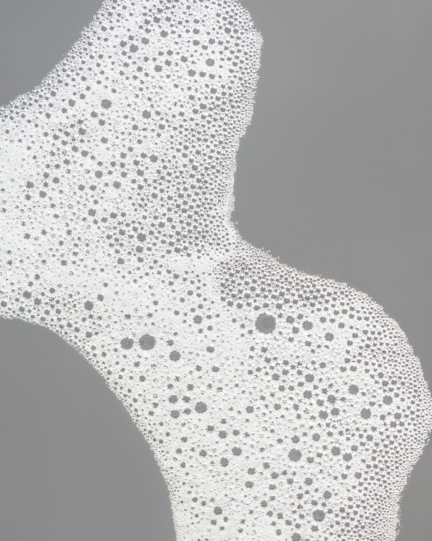 Baron Bear – Face Fighter - Baron Bear TRIBE