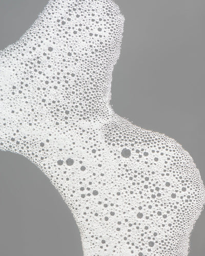 Baron Bear – Face Fighter - Baron Bear TRIBE