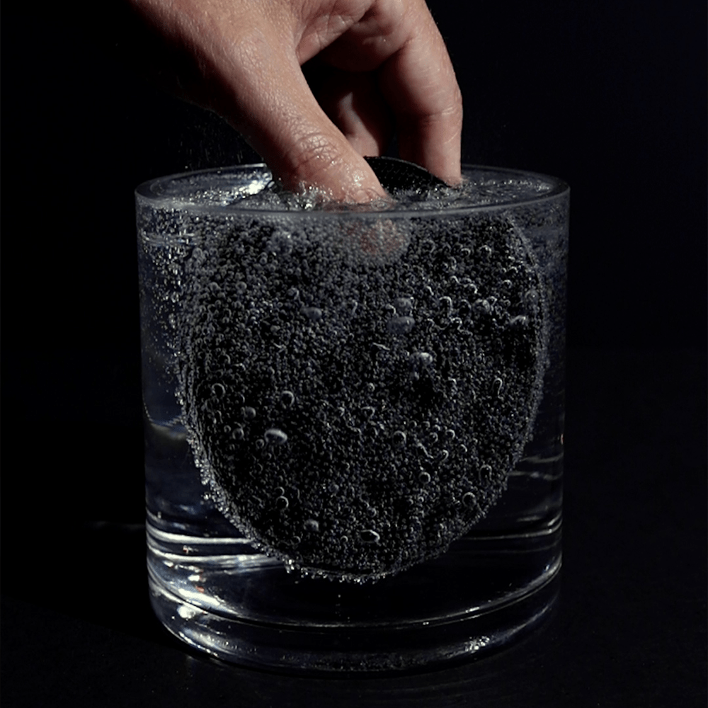 Sonic Scrubber - Baron Bear TRIBE